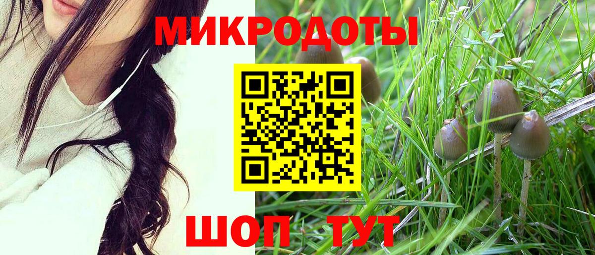МЕТАМФЕТАМИН Гусь-Хрустальный
