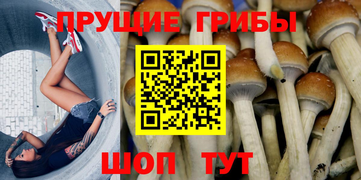Галлюциногенные грибы прущие грибы  Вход с VPN  Гусь-Хрустальный 